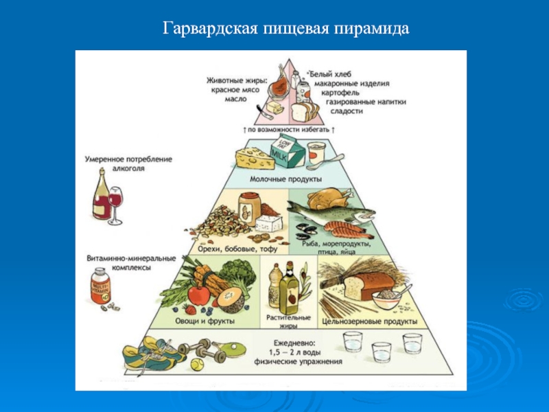 Пирамида питания: как построить свой рацион питания 
пирамида питания: как построить свой рацион питания