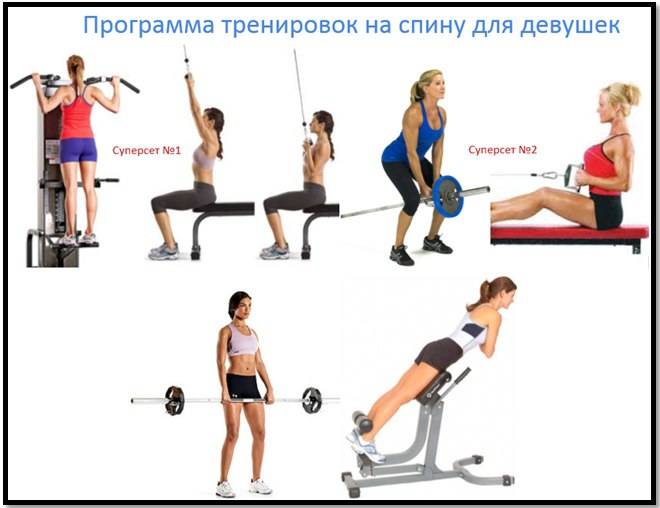 Упражнения в зале для девушек: комплексы упражнений для рук, спины, пресса, ног и программа для похудения