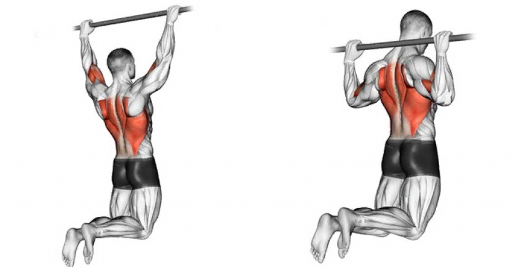 Как накачать широкую спину в тренажерном зале: лучшие упражнения для быстрого роста мышц (фото, схемы)