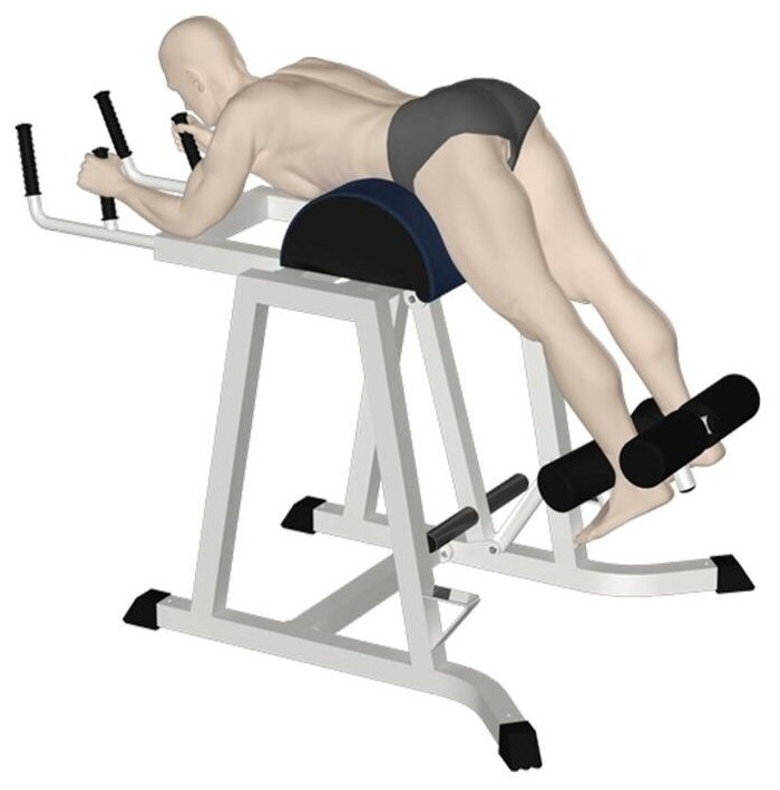 Топ лучших тренажеров для укрепления мышц спины |