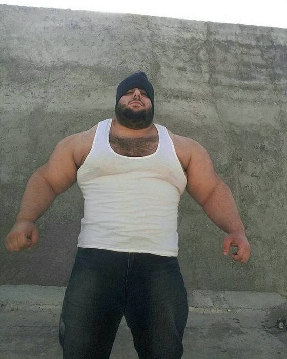 Саджад гариби – рост и вес, фото без фотошопа «иранского халка»