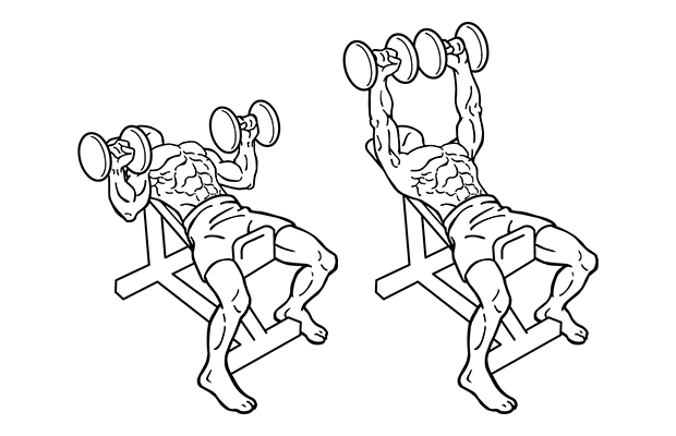Жим гантелей лежа: обзор упражнений на горизонтальной скамье (видео, фото, схемы)