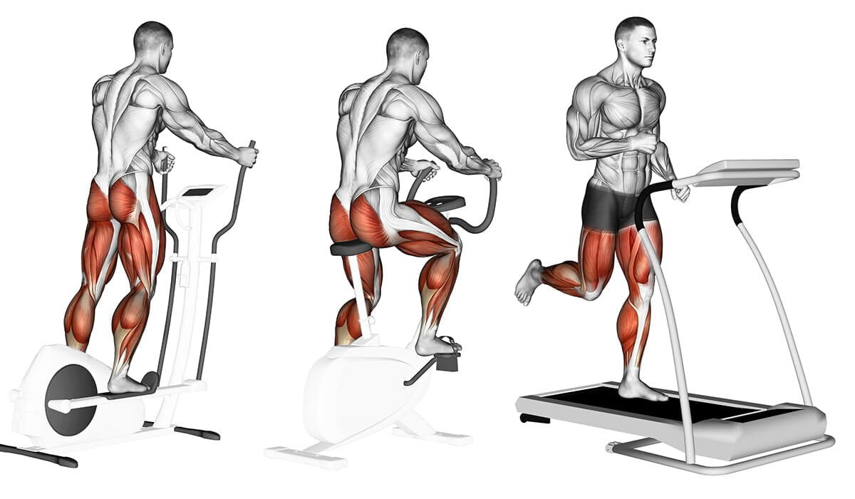 Комплексная тренировка для ног: лучшие упражнения для набора массы (с видео) | rulebody.ru — правила тела