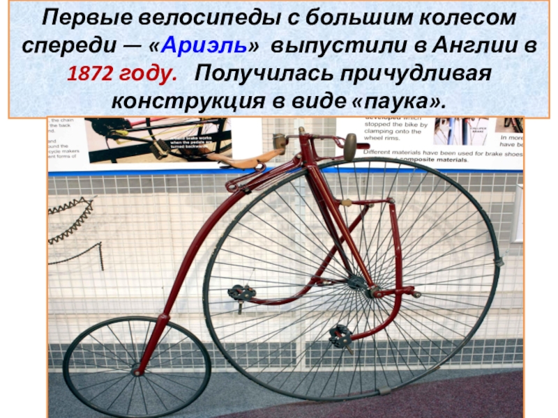 Фэтбайк: что это такое, плюсы и минусы, отличия от обычного велосипеда