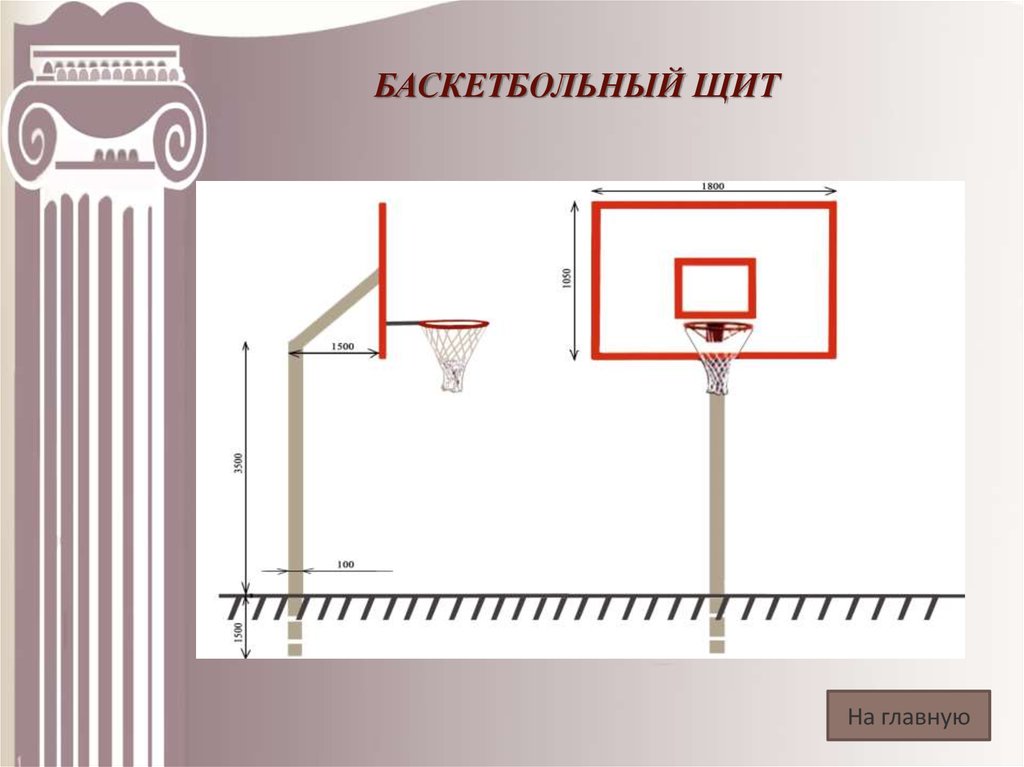 Высота кольца в баскетболе размер щита. размеры баскетбольного щита и другие требования к нему