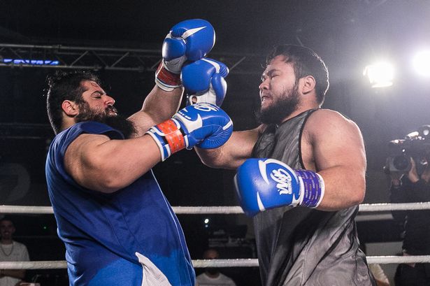 Иранский Халк выразил намерения дебютировать на ринге в MMA