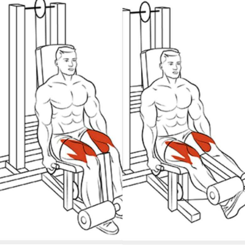 Отведение ноги в кроссовере - техника выполнения и какие мышцы работают