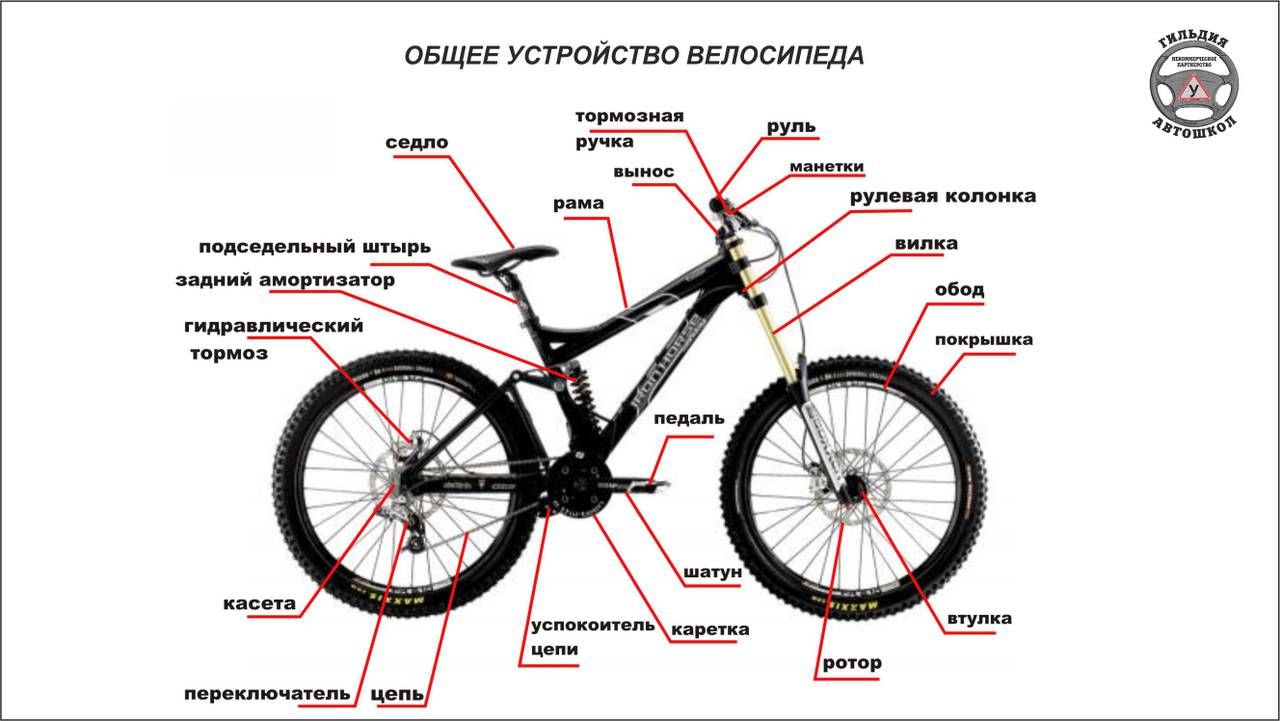 Устройство велосипеда, базовые элементы, отличия между моделями