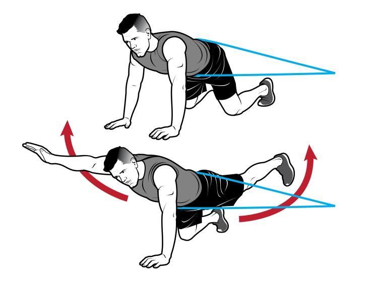 Упражнения для спины женщинам и мужчинам - в домашних условиях вылечить спину, остеохондроз, укрепить позвоночник