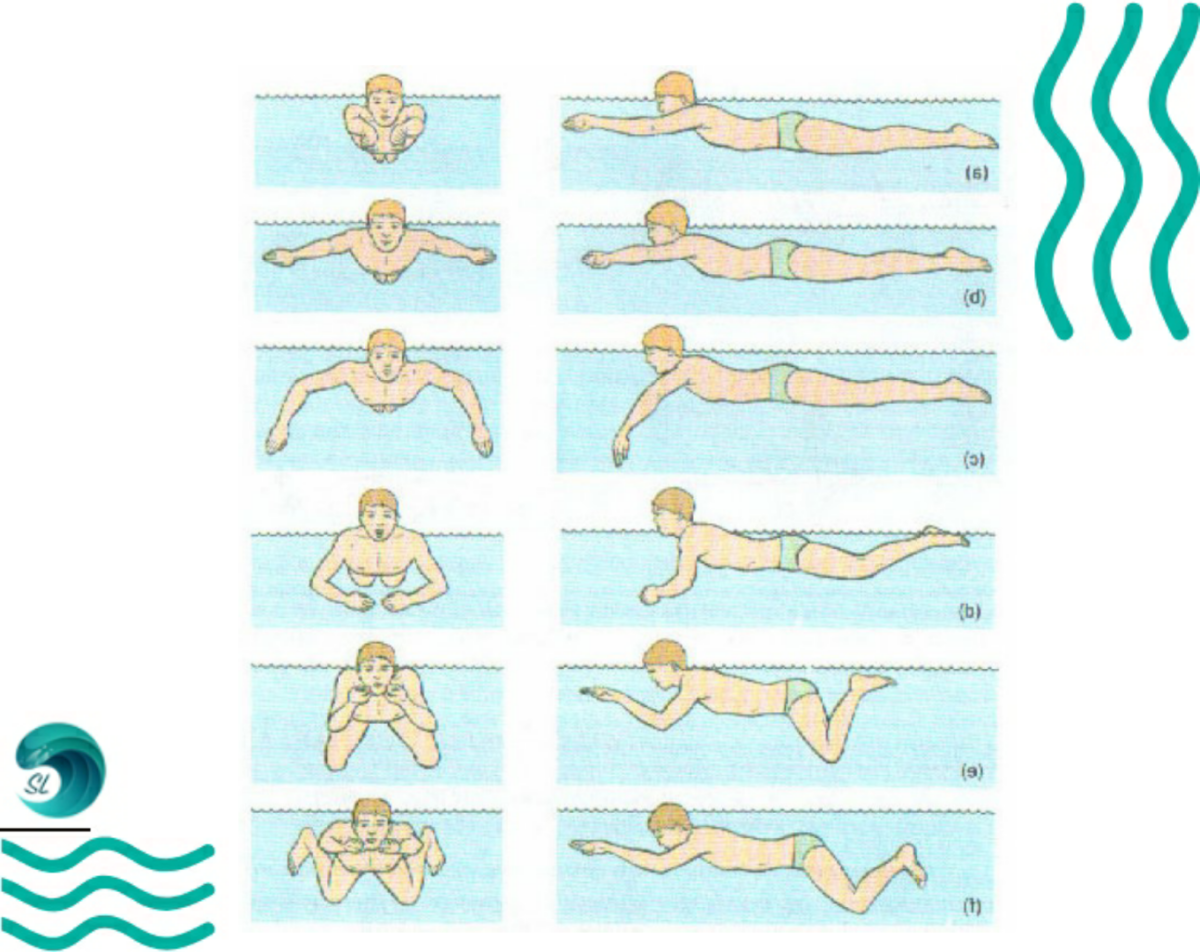 Как научиться плавать: 4 основных упражнения и полезные советы
