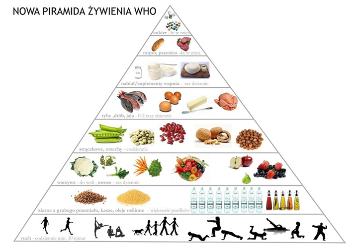 Гарвардская пирамида здорового питания — долгосрочная стратегия, основанная на научных фактах