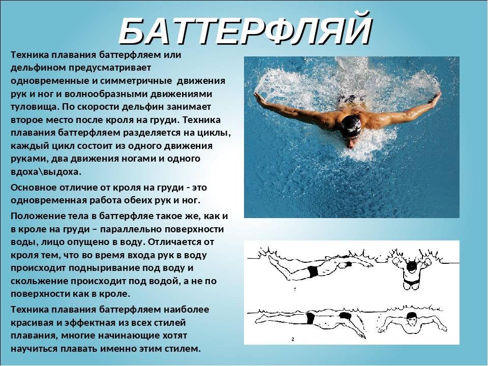 Стили плавания в бассейне, описание, рекомендации новичкам