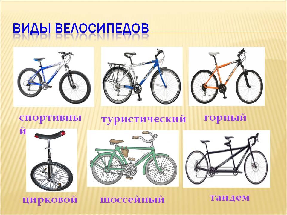 Как выбрать велосипед без ошибок