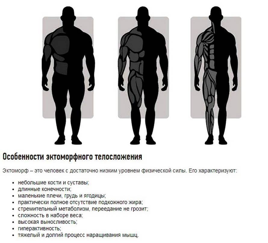 Мезоморфный тип телосложения - что нужно знать