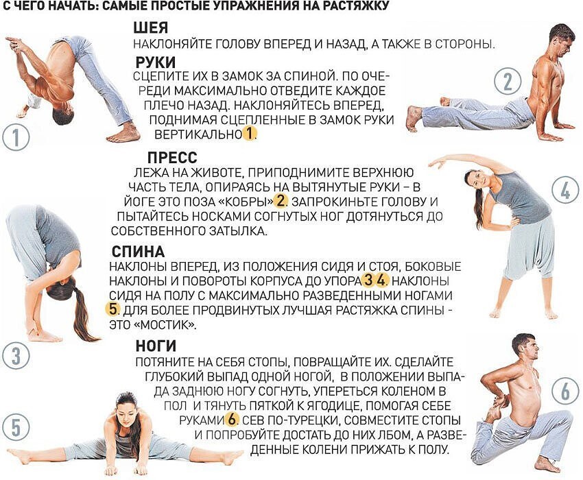 8 лучших упражнений на растяжку мышц для начинающих. понятные упражнения на растяжку для начинающих в домашних условиях