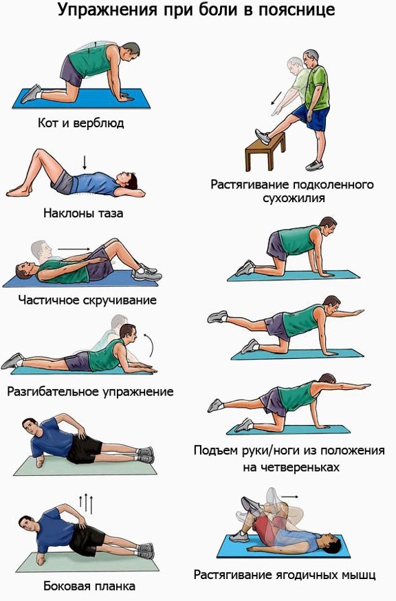 Упражнения для поясницы | клиника позвоночника "здравствуй!"
