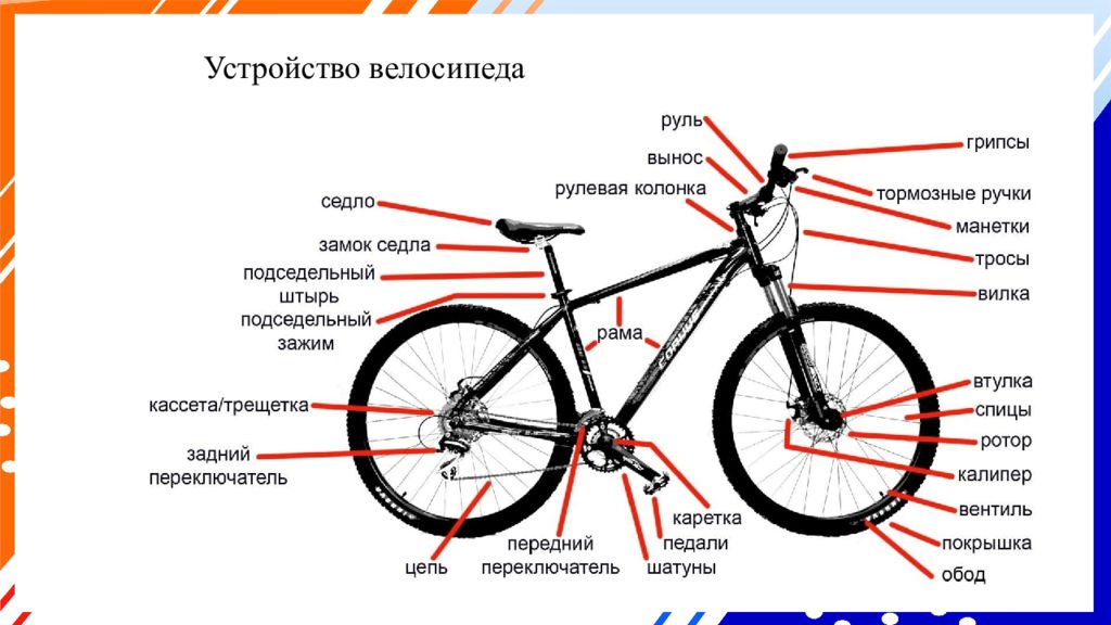 Какие бывают велосипеды: типы, виды, назначения