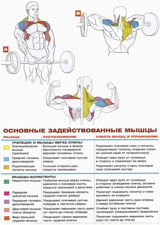 Тяга штанги к подбородку: виды упражнения и техника выполнения | irksportmol.ru