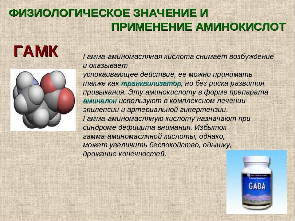 ГАБА – что это за добавка, в каких продуктах содержится, для чего нужна в бодибилдинге