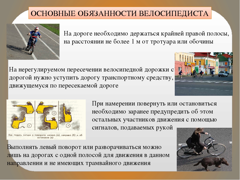 Правила дорожного движения для велосипедистов (пдд) при езде по дорогам