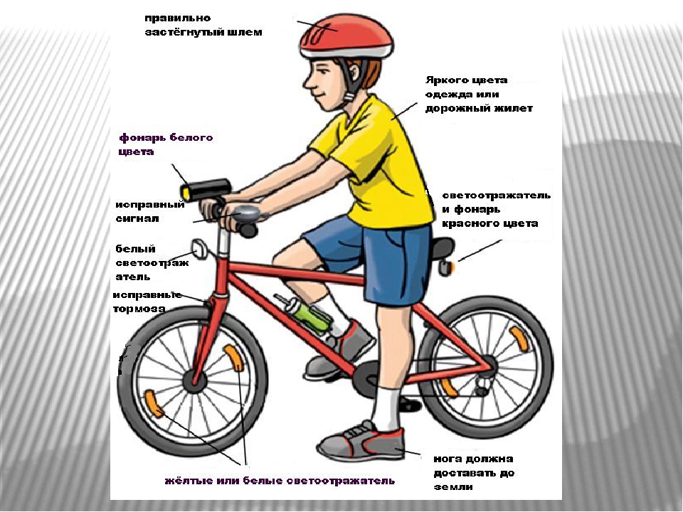 Как научить ребенка кататься на велосипеде: практические советы родителям
