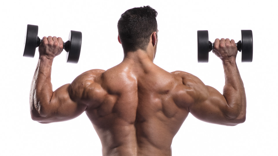 Развитие плечевого пояса: как сделать плечи шире, упражнения и особенности тренировок