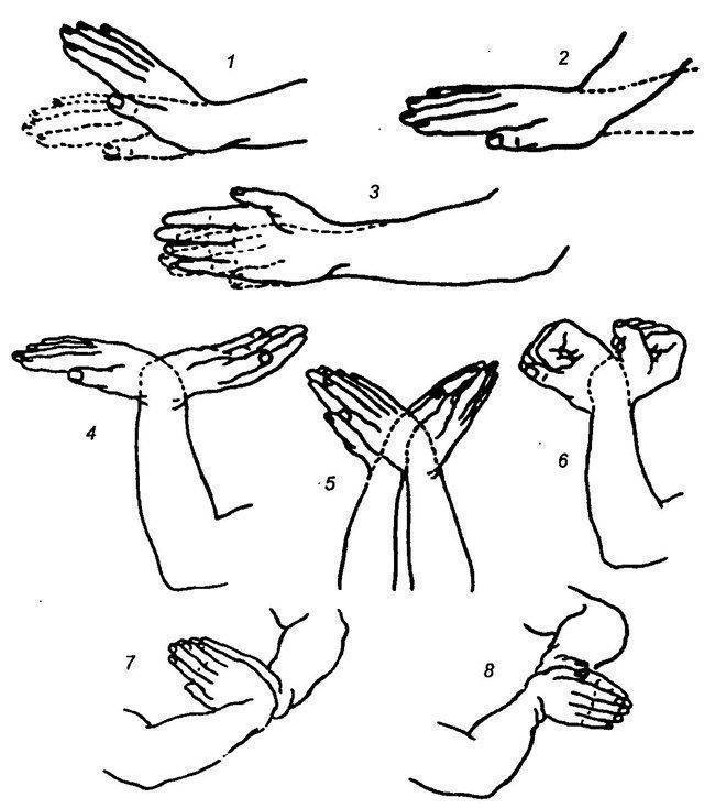 20 самых эффективных упражнений для рук