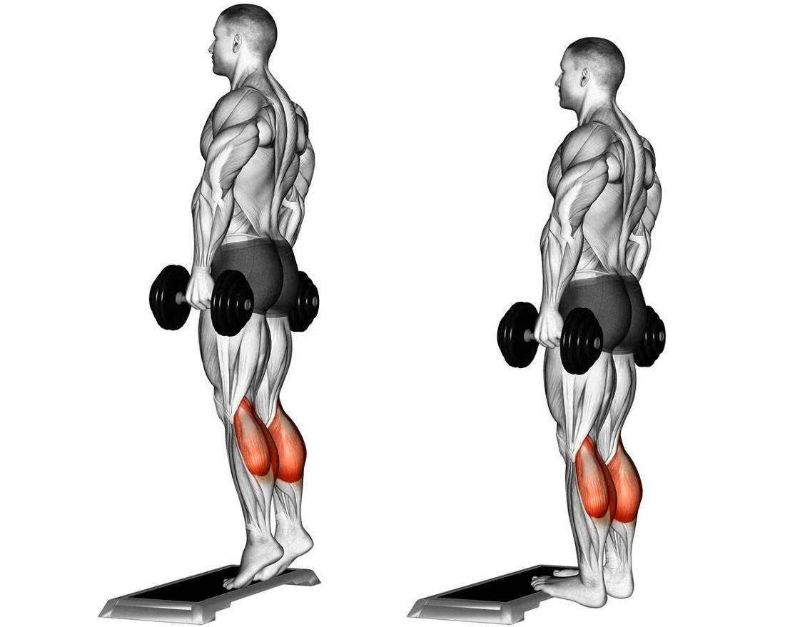 Базовые упражнения на ноги: как тренировать ноги мужчине на массу