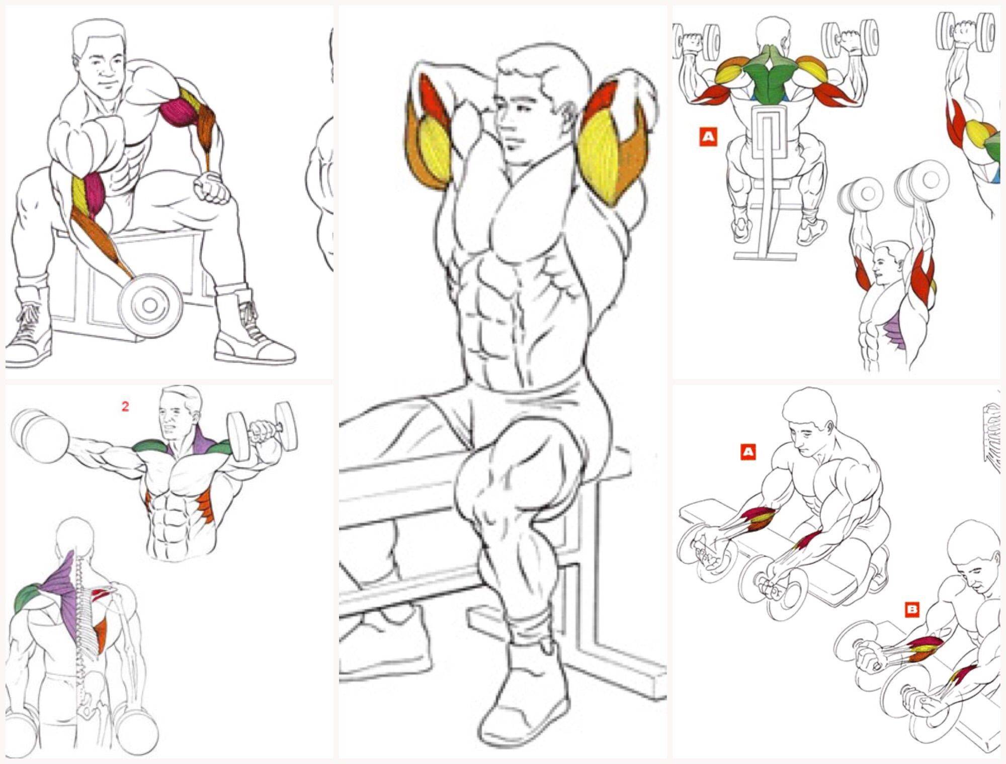 Как накачать руки: правила проведения тренировок для создания мускулов