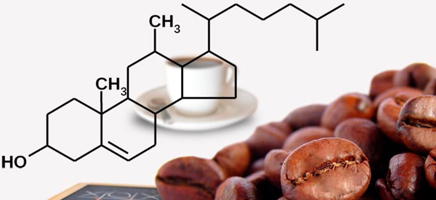 Исследование кофеина. Влияние кофеина. Кофеин в организме человека. Влияние кофеина на организм человека. Кофе и холестерин.