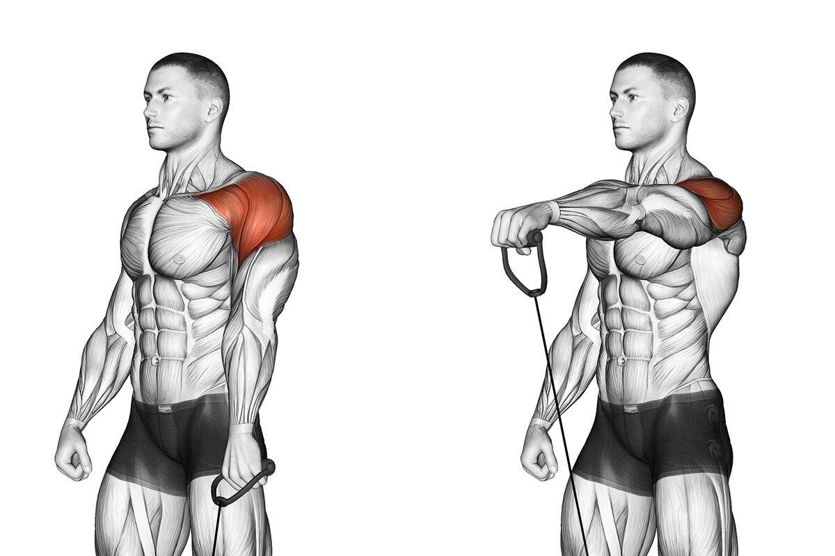 Можно ли увеличить ширину плеч с помощью упражнений?