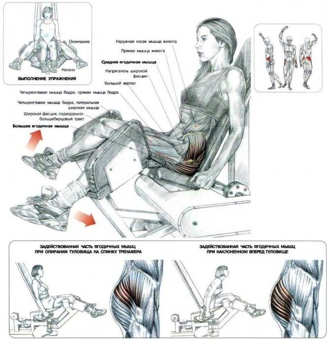 Сведение ног на тренажере сидя: техника, особенности, рекомендации и ошибки.