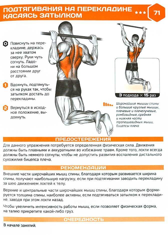 100 подтягиваний — как раскачать широчайшие мышцы спины без зала