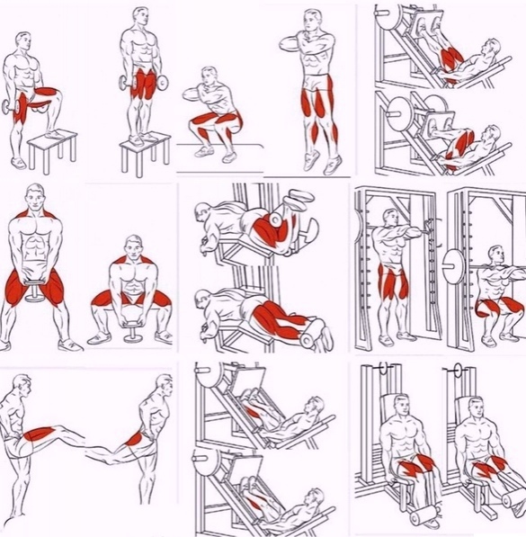 Как накачать худые ноги (с иллюстрациями) - wikihow