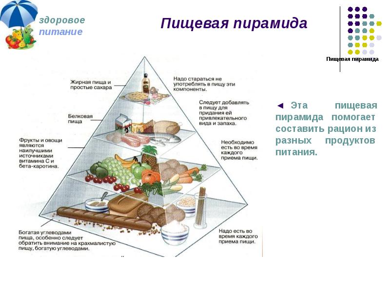Пирамида питания здорового человека: структура и виды
