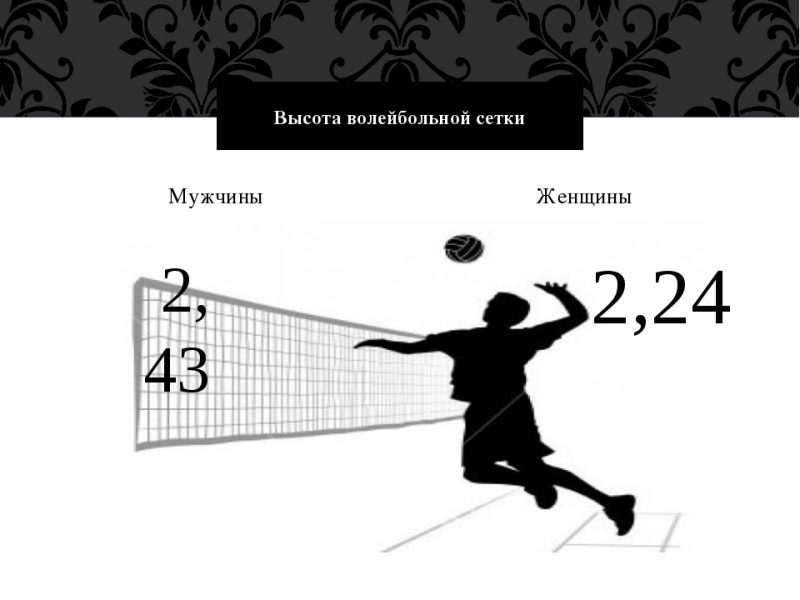 Характеристики волейбольной сетки: длина, высота, размеры, стандарты