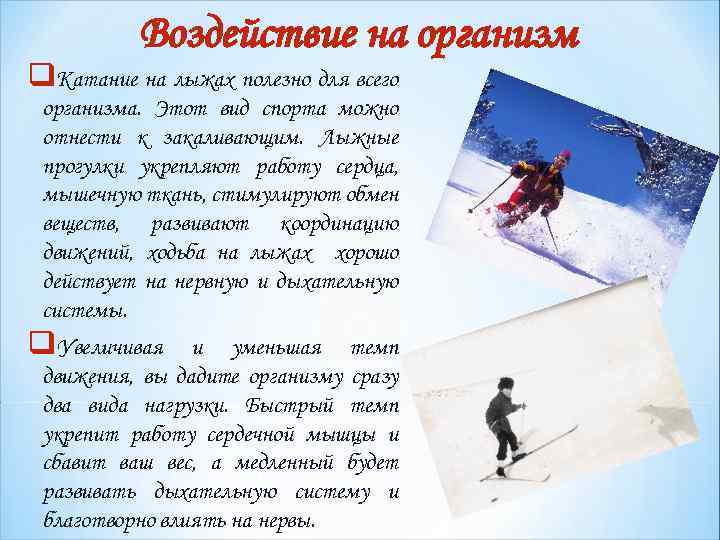 Физиология лыжных гонок - tri.by