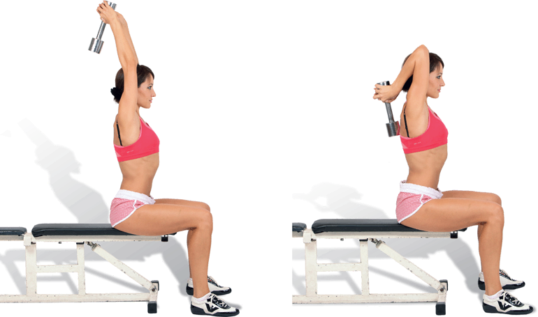 Лучшие упражнения на спину для девушек, чтобы накачать красивую спину в тренажерном зале для женщин