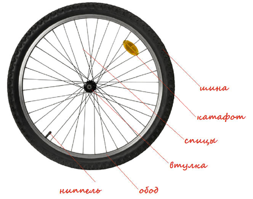 Колесо велосипеда: из чего состоит и какие они бывают?