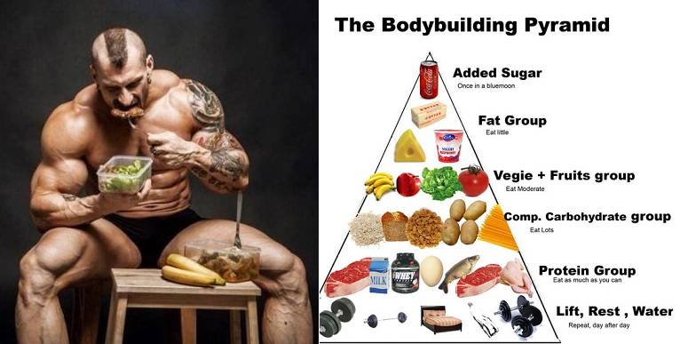 Пирамида питания: как построить свой рацион питания 
пирамида питания: как построить свой рацион питания