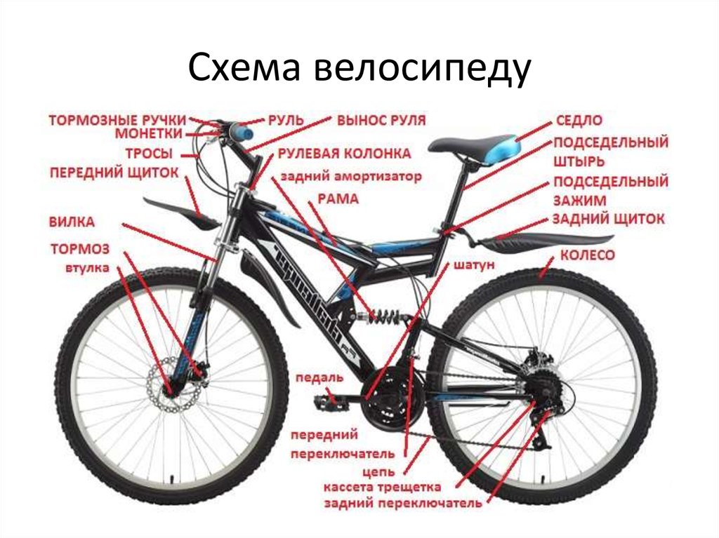 Типы и виды велосипедов, полный список