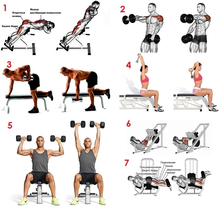 Обзор лучших упражнений с гантелями для прокачки разных групп мышц