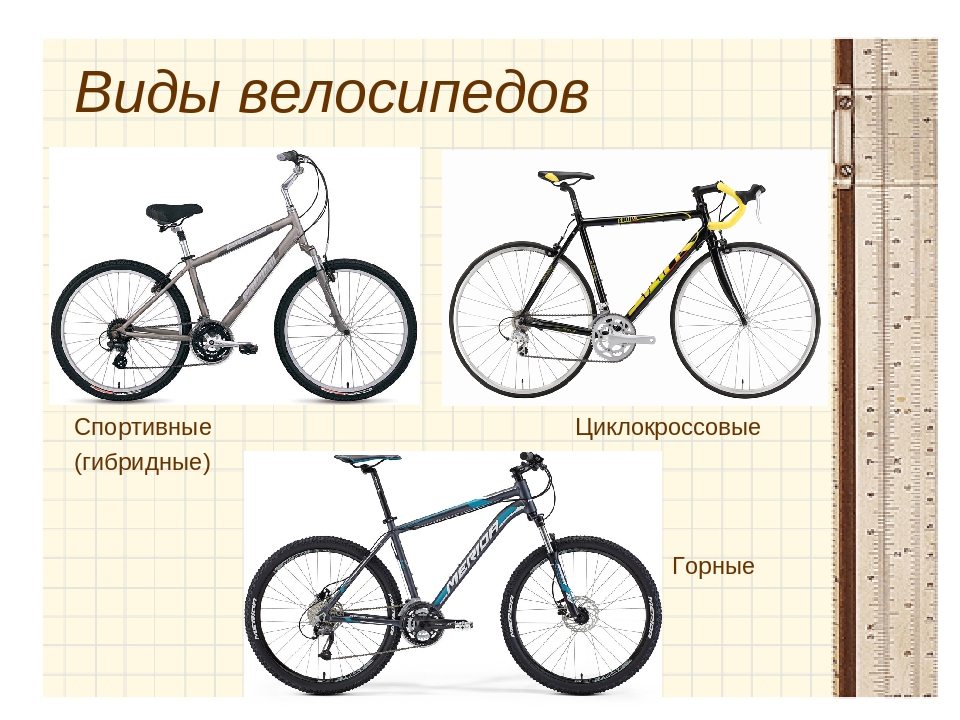 Типы современных велосипедов (классификация)
