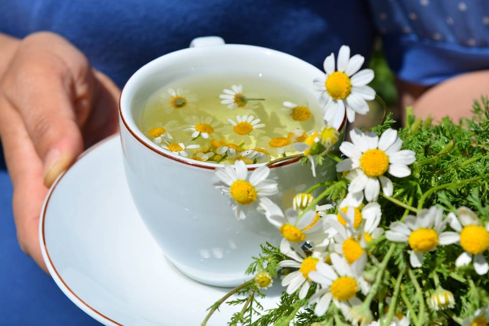 Как быстро справиться с простудой: 6 советов от терапевта