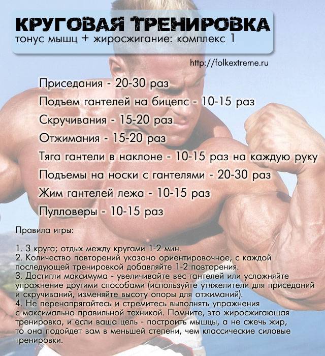 Тренировка для похудения в зале: комплекс упражнений. программа тренировок для похудения - tony.ru