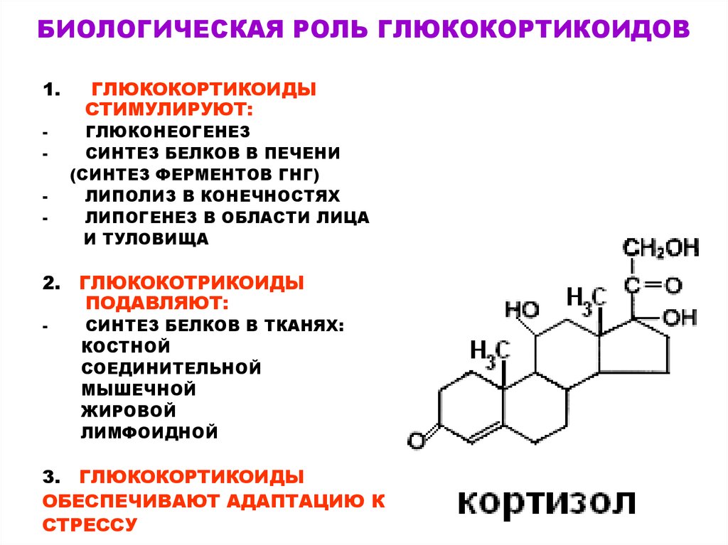 Актг – кортикотропин, или адренокортикотропный гормон. общая информация и  взаимосвязь с кортизолом