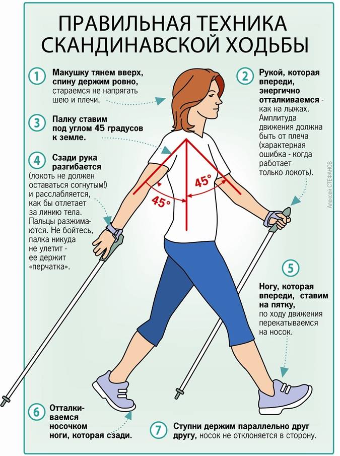 Скандинавская ходьба: пошаговая техника для начинающих
