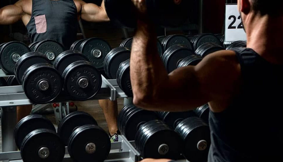Режим силовых тренировок, гормоны и рост мышц | fpa