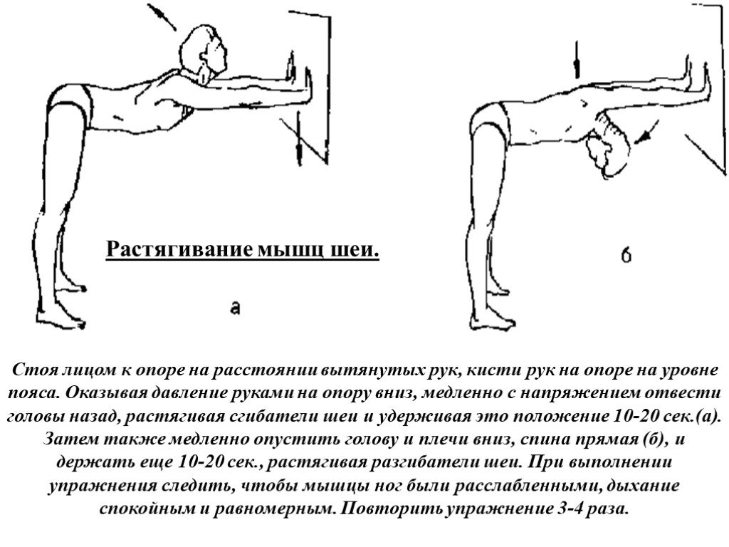 Платизма - мышца, о которой вы не знали. как сохранить красивую шею в любом возрасте? :: polismed.com