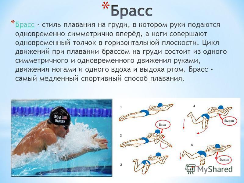 Стили плавания. какие существуют стили плавания? :: syl.ru
